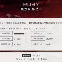 帯封狙いプランの「ルビー」の詳細