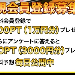 登録＋アンケートで13,000円分のポイントがもらえる