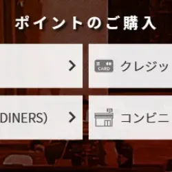 以前は銀行決済とクレジットカード決済のみだった