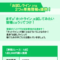 「お試しライン」詳細