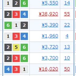 1月29日三国レース結果