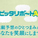 ピッタリボートA